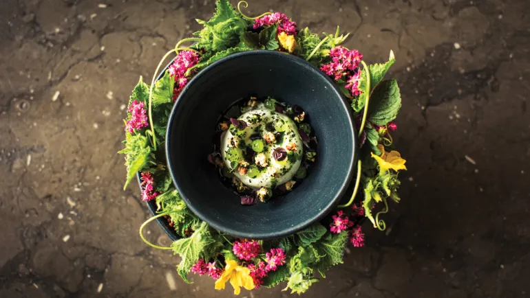 Top 10 Michelin Star Secrets You Can Use at Home